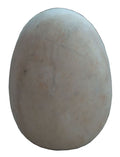 15" Large Dino Egg