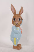 3' Boy Rabbit