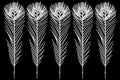 5 Pack of 12" White Peacock Feather with Glitter Enhancements
