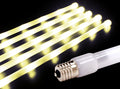 5 Pack of 24" Yellow Icetubes