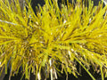 6" Mylar Gold, Translucent Yellow Garland 20' Sections