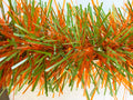 6" Translucent Orange and Matte Light Green