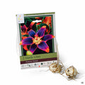 https://matsudasnursery.com/mtg2021/Recent.htm#:~:text=Hardy%20Lilies%20Forever%20Susan%202%2Dpack