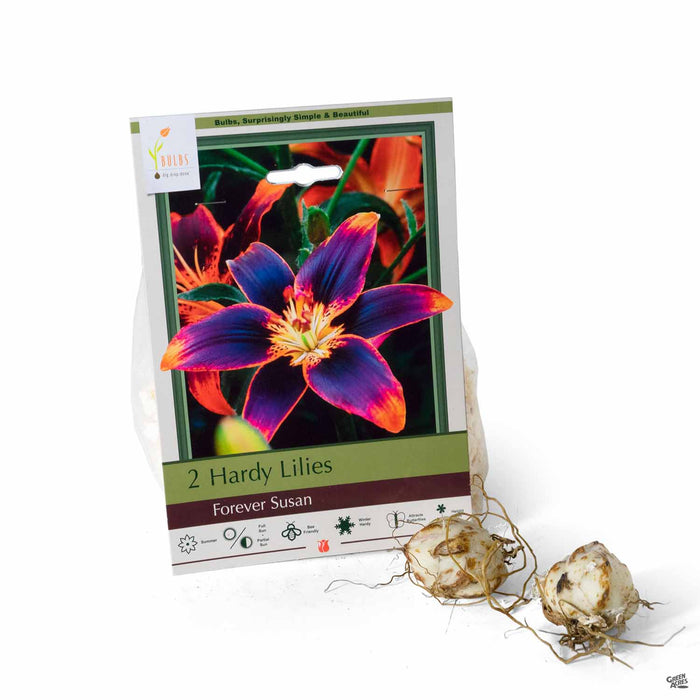 https://matsudasnursery.com/mtg2021/Recent.htm#:~:text=Hardy%20Lilies%20Forever%20Susan%202%2Dpack