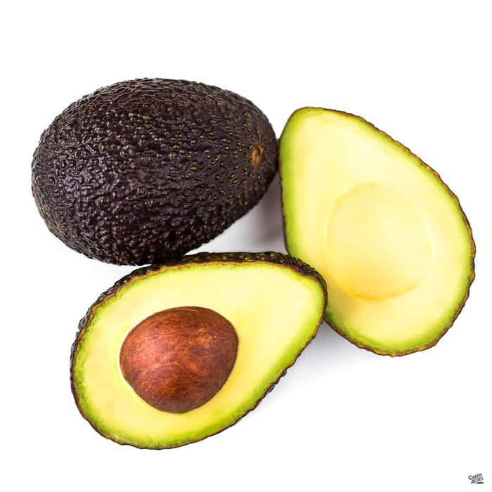 Hass Avocado fruit
