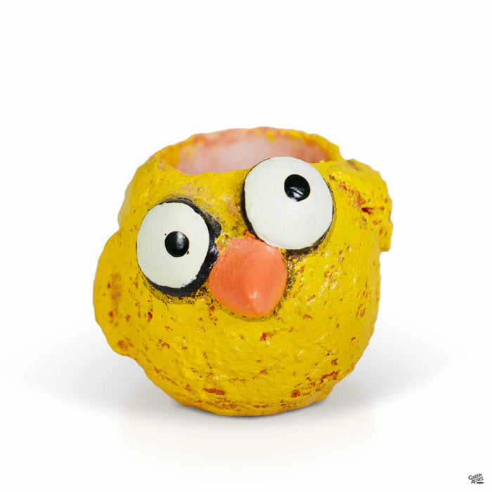 Baby Chickie Animal Planter