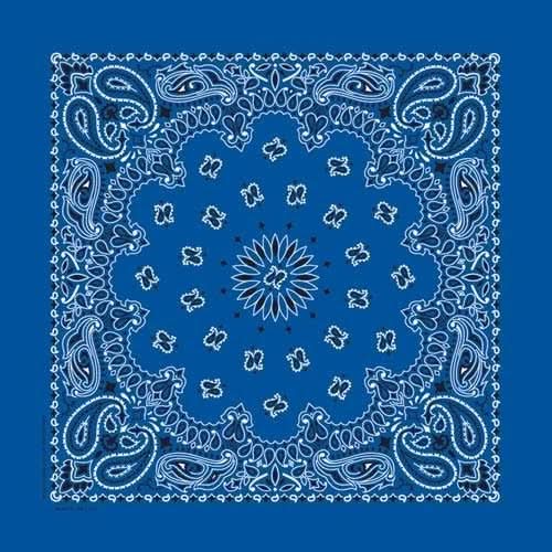 BD2501 Bandana Paisley Royal