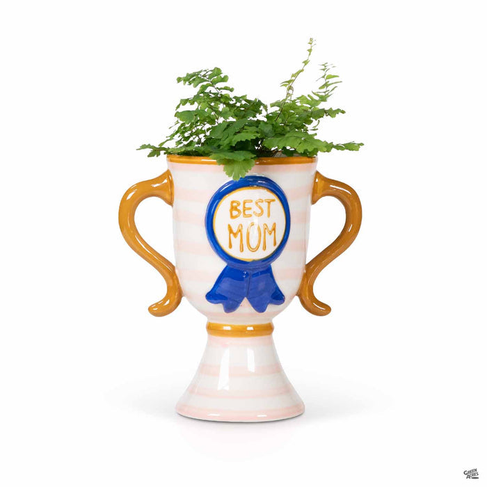 Best Mom Trophy Planter 5.5 inch