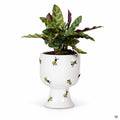 Accent Décor Buzzy Compote Planter with Bee Design 4.75 inch