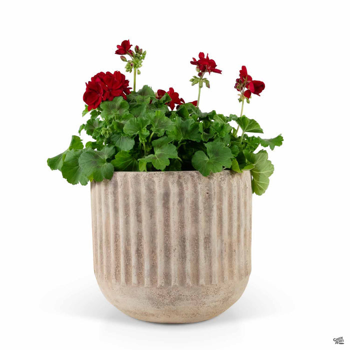 Carlisle Antique Terracotta Planter