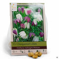 Chequerer Lilies 15-pack