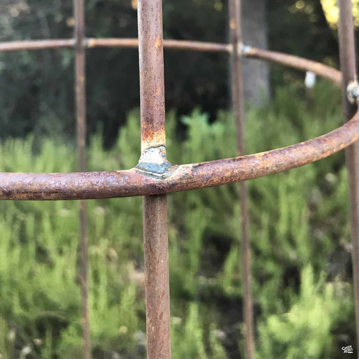 Artisan Trellis Cone Topiary
