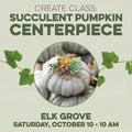 Create Class Succulent Pumpkin Centerpiece in Elk Grove on October 10 at 10 am.