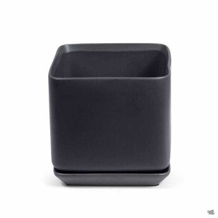 7" x 6.5" / White