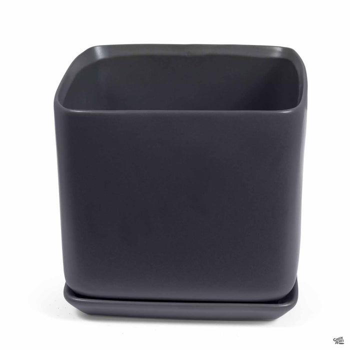 7" x 6.5" / Black