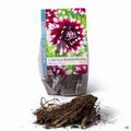 Dahlia Dinnerplate - Mystery Day 1-pack