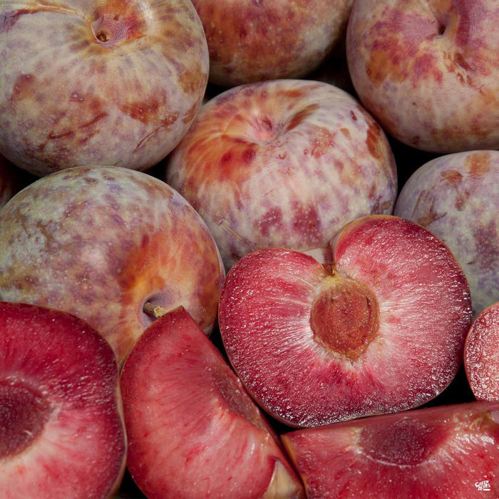 Pluot 'Dapple Dandy'
