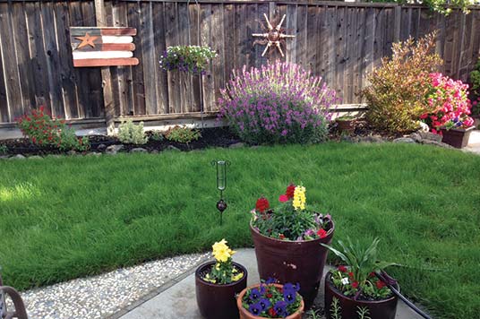 Premium emerald green Delta Grassland Mix