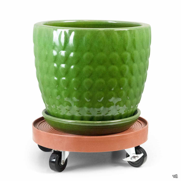 Devault Plant Dolly 12 inch Terracotta with Pot