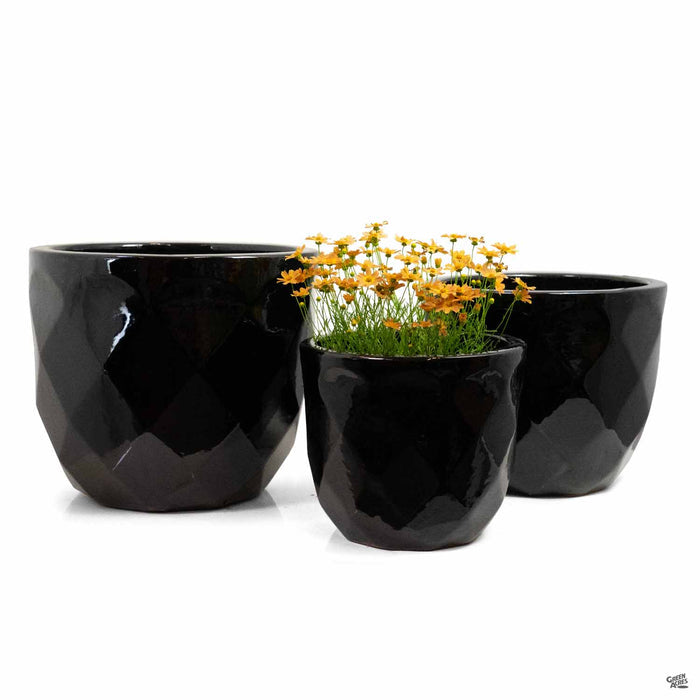 Diamond Planter in Black Group