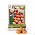 Dutch Shallot Sets Red 75-pack