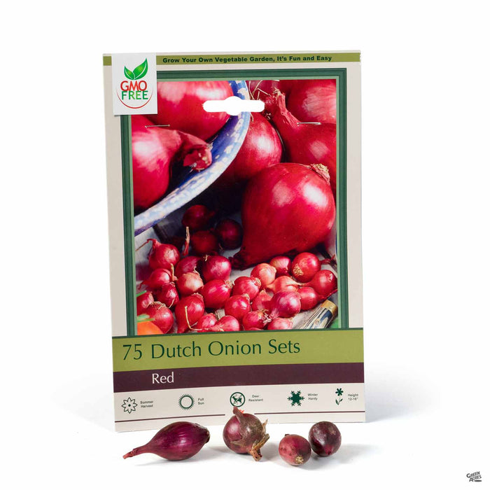 Dutch Onion Sets Red 75-pack
