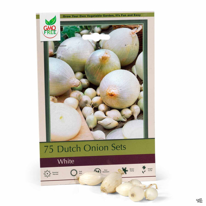 Dutch Onion Sets White 75-pack