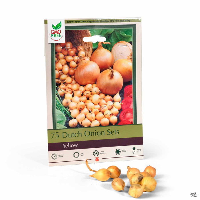 Dutch Onion Sets Yellow 75-pack