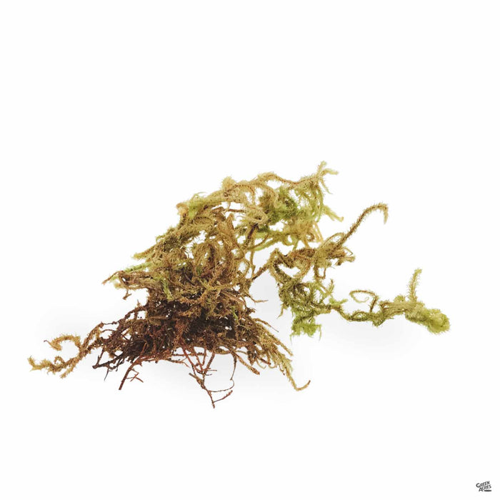 EB Stone Green Moss