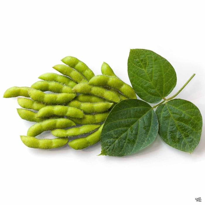 Soybeans
