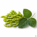 Soybeans