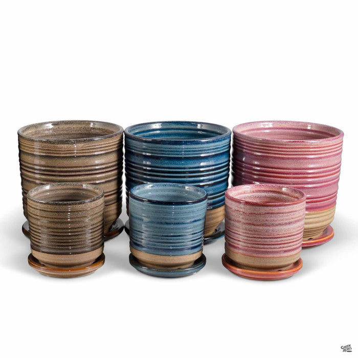 Ellora Planters Group