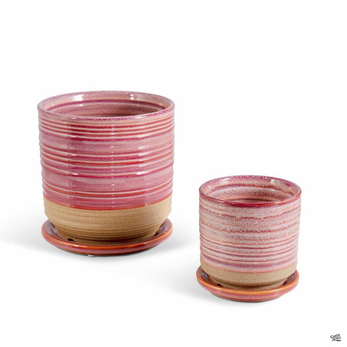 Ellora Planter Cherry 4.5 and 6.75 inch
