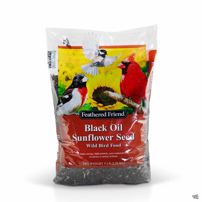 Feathered Friend Black Oil Sunflower Seed 5 pound