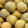 Pluot 'Flavor Queen'