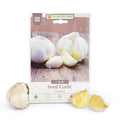 Elephant Garlic