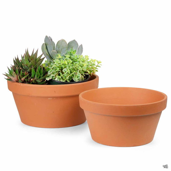 German Bulb Pan Terracotta Group with Plants