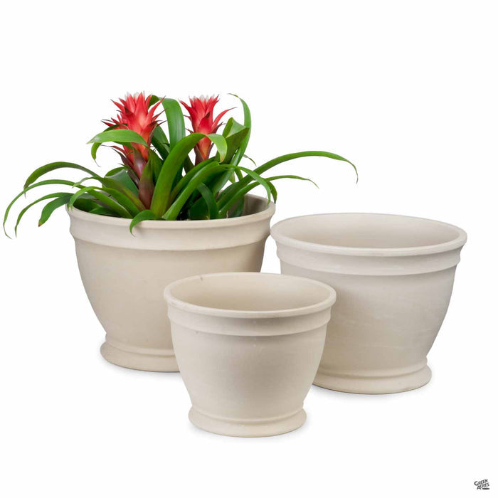 German Gallicus Clay Pot Granit Group with Plant
