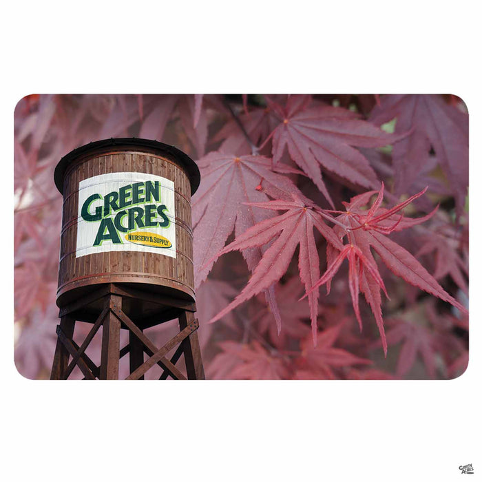 Green Acres Nursery & Supply Gift Card Japanese Maple