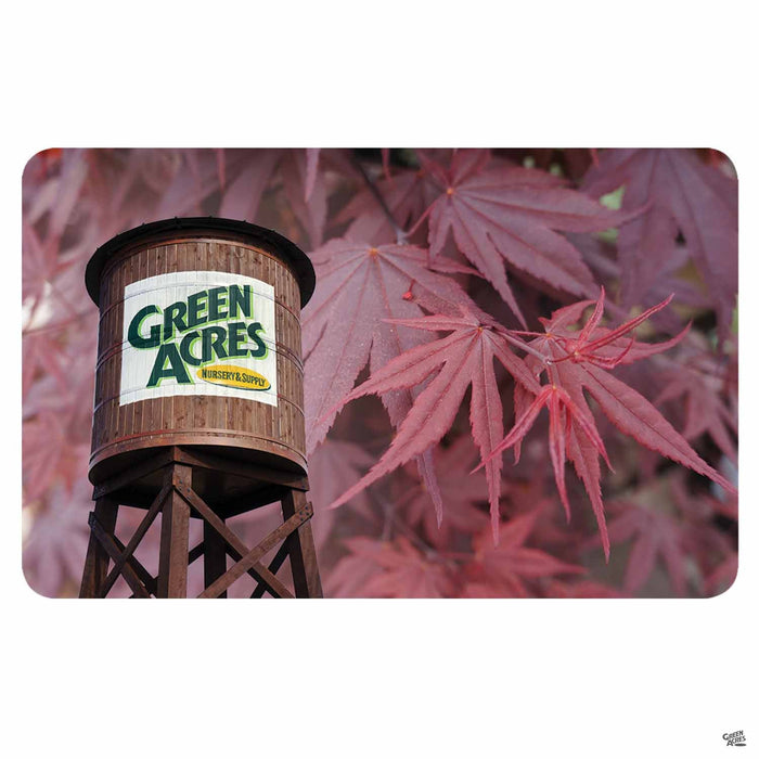Green Acres Nursery & Supply Gift Card Japanese Maple