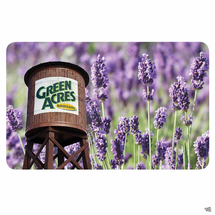 Green Acres Nursery & Supply Gift Card Lavender