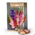 Gladiolus 4th of July Blend 30-pack