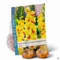Gladiolus Large Flowering Jester 8-pack