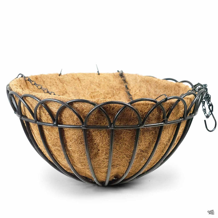 Greenbrier Hanging Basket 18 inch