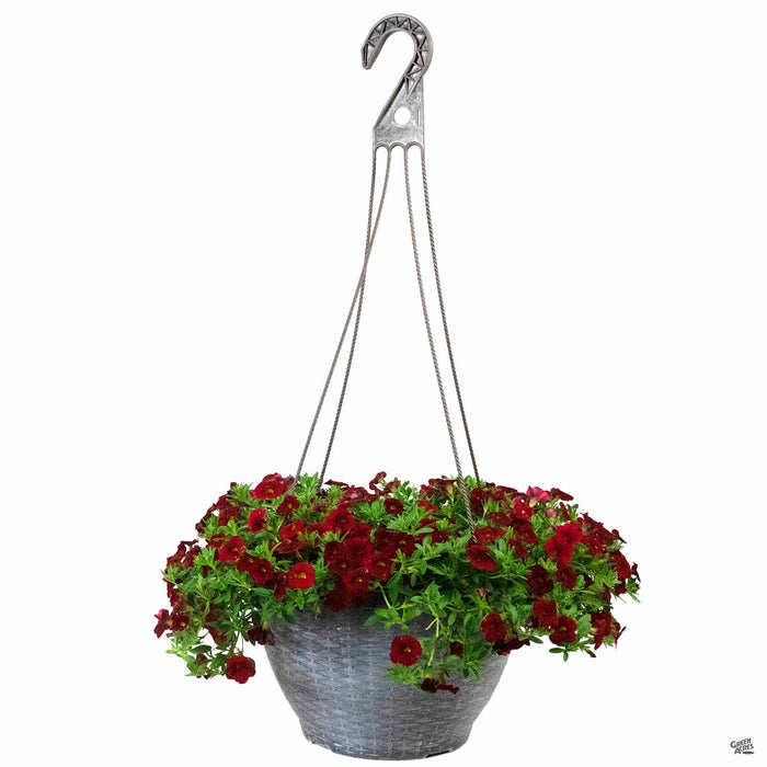 Warm Season Hanging Basket 12 inch
