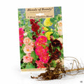 Alcea Charters Blend (Hollyhock) 3-pack
