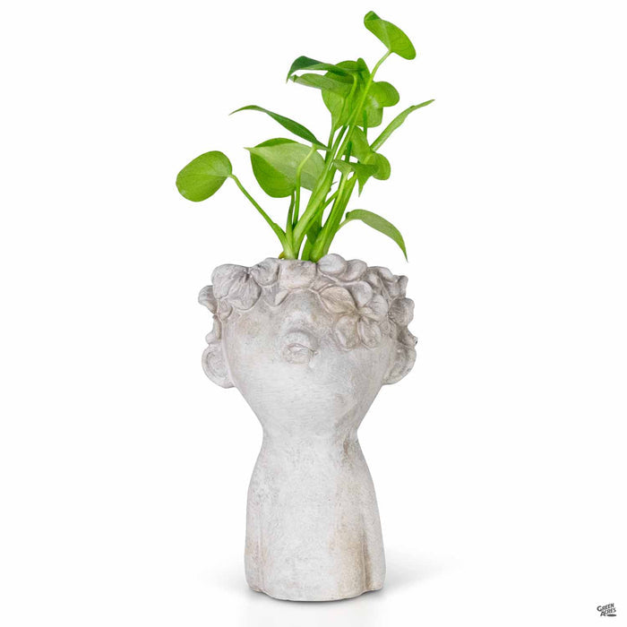 Kissing Planter