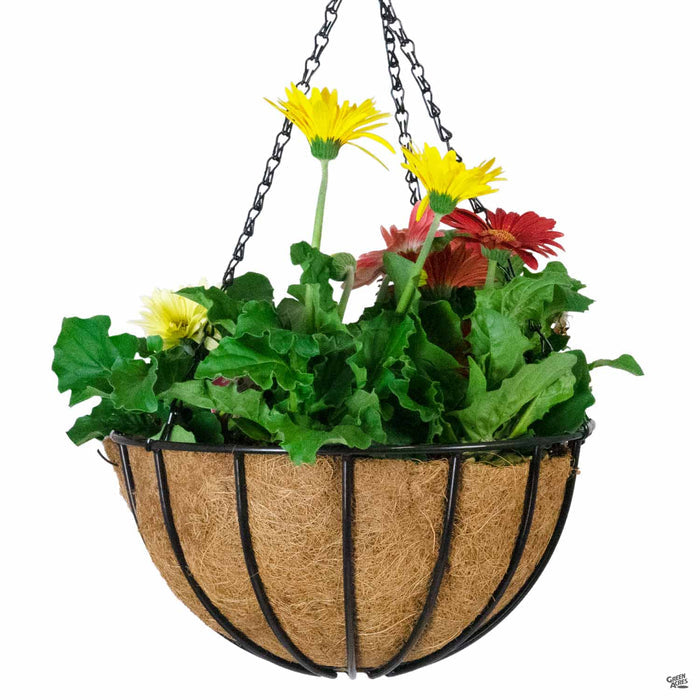 Liberty Hanging Basket