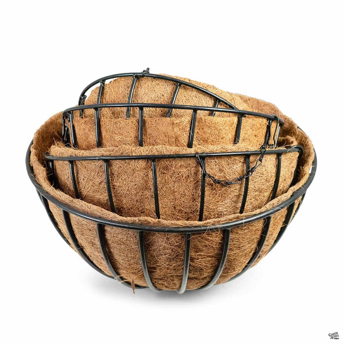 Liberty Hanging Basket group