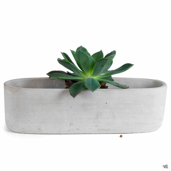 Avenue Pottery Low Oval Plant Vessel